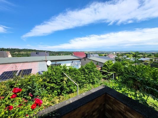 freier Blick in die Natur