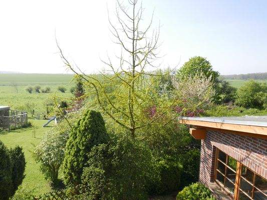 Bild 14