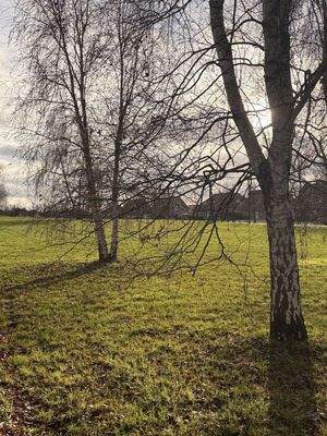 Areal hinter dem Garten