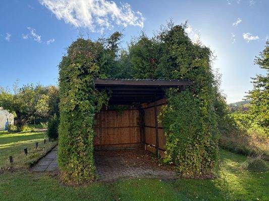 IMG_2476 - Kopie.jpg