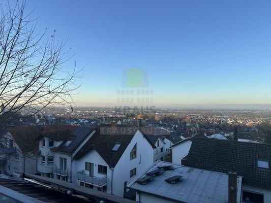 Ausblick