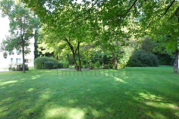 Gemeinschaftsgarten 1