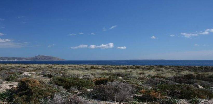 Südostkreta, Kalo Nero: Erstklassiges Baugrundstück direkt am Meer zu verkaufen