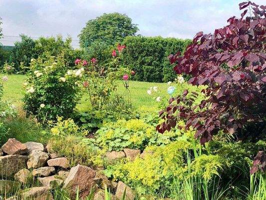 Impressionen aus dem Garten