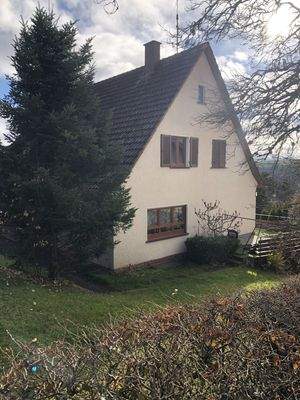 Ansicht West mit Terrasse