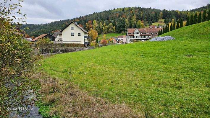 42 Ausblick vom Garten