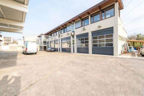 Ehningen Bauernhöfe, Landwirtschaft, Ehningen Forstwirtschaft