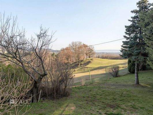 65775-2493-48-g - (KI generiert)