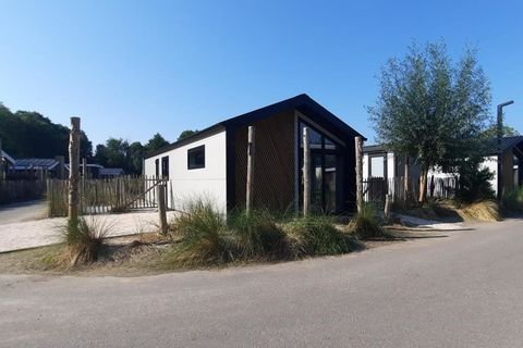Hellevoetsluis Häuser, Hellevoetsluis Haus kaufen