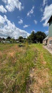 Grundstück Südseite (1).jpg