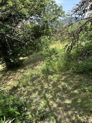 Grundstück Ansicht 2