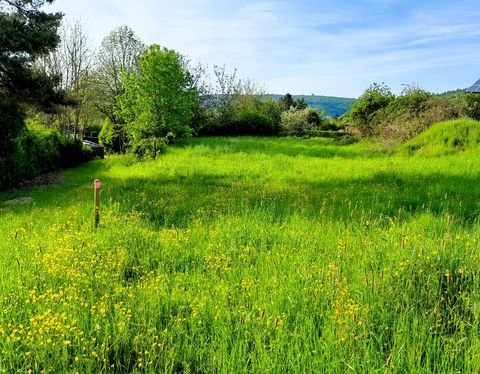 Bad Münstereifel Grundstücke, Bad Münstereifel Grundstück kaufen