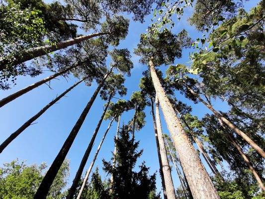 Himmel über Heidesee