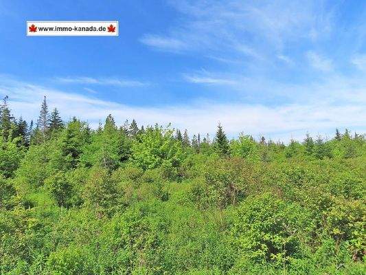 Cape Breton - Soldiers Cove - 26.790 m² großes Bau