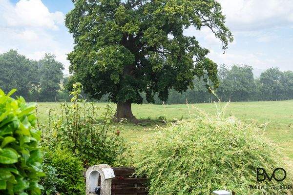 Ihr Blick vom Essbereich