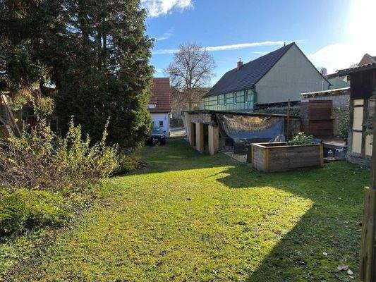 Aussenbereich Garten Hof (3)