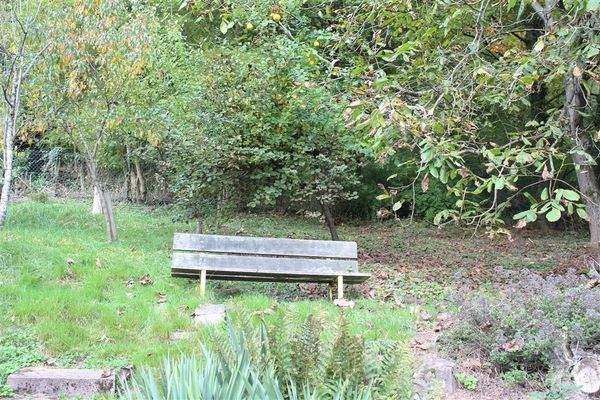 Blick-auf-Neckargerach