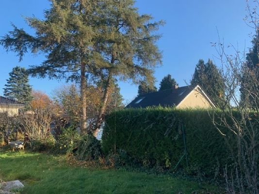 SANKT AUGUSTIN MEINDORF freist. Einfamilienhaus /Bungalow 45 Zimmer
