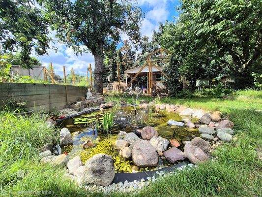 Teich u. Hühnerstall 