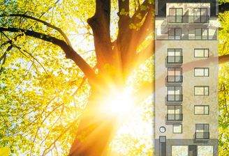 Rathenau2 Scout 731_550 px.jpg