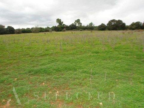 Porreres Grundstücke, Porreres Grundstück kaufen