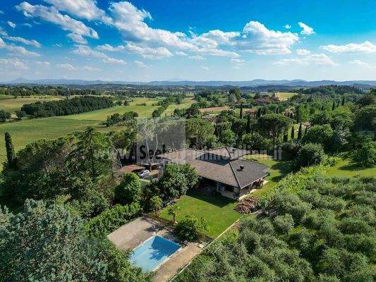 Villa-Toskana-Urlaub-Ferienhaus-Ferienwohnung-Traum-Oliven-Wein-Florenz-Siena-Assisi-Ruhe-Haus-Einfamilienhaus