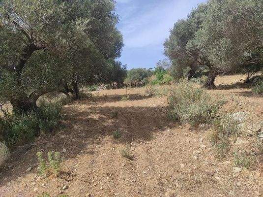 Kreta, Karoti: Grundstück mit Baugenehmigung und atemberaubendem Bergblick zu verkaufen