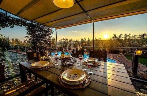 Vinci Häuser, Vinci Haus kaufen