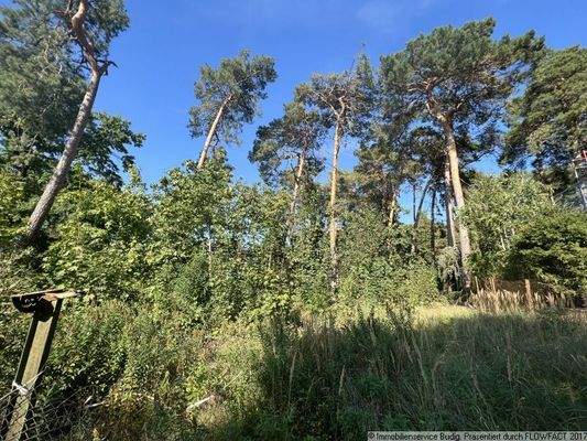 Blick auf das Grundstück