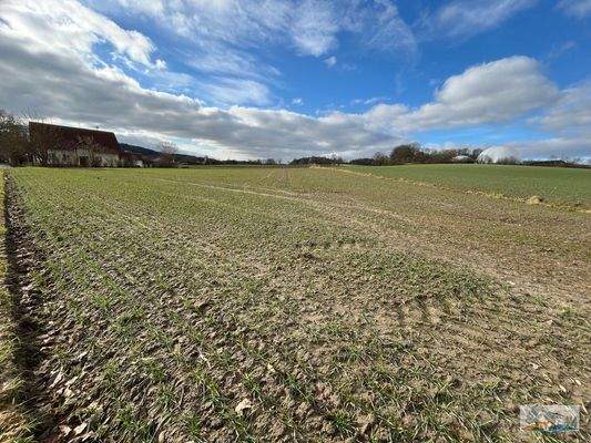 Landwirtschftsfläche "Schützenstraße 9, Schainbach" Gemarkung Walda