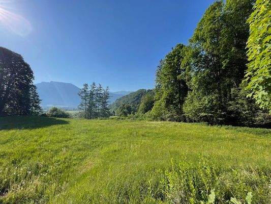 Ausblick auf den Kaiser