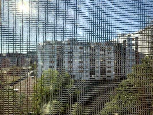 Ausblick vom Schlafzimmer / Insektengitter