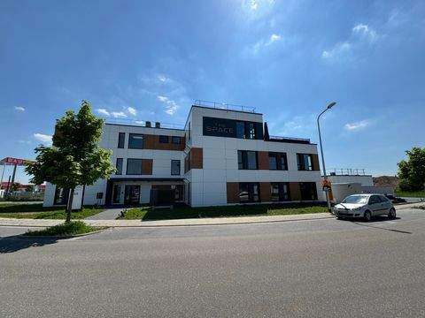 Haßloch Büros, Büroräume, Büroflächen 