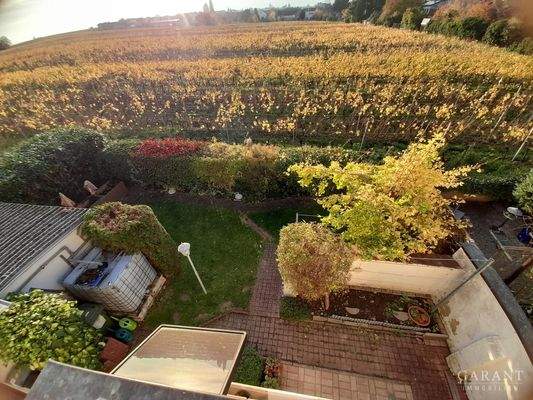 Blick von der Terrasse im OG