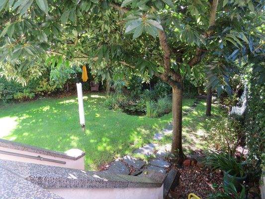 Blick zum Garten mit Teich