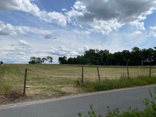 Zukaufmöglichkeit Weideflächen.JPG