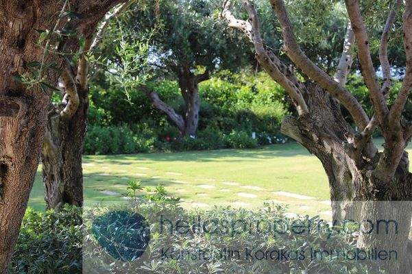 2022-10-13_08-23-19_904481