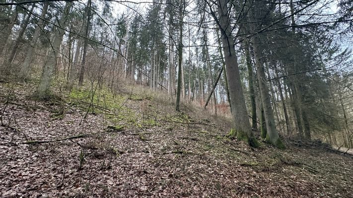 Hanggrundstück