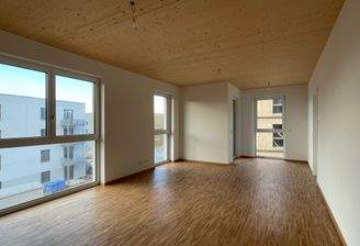 2-Zi_Offener Wohn- und Essbereich.jpeg