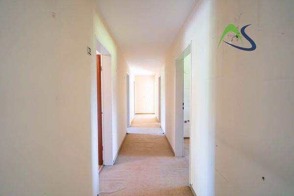 DSC04833-Verbessert-RR