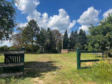 Steinreich Grundstücke, Steinreich Grundstück kaufen