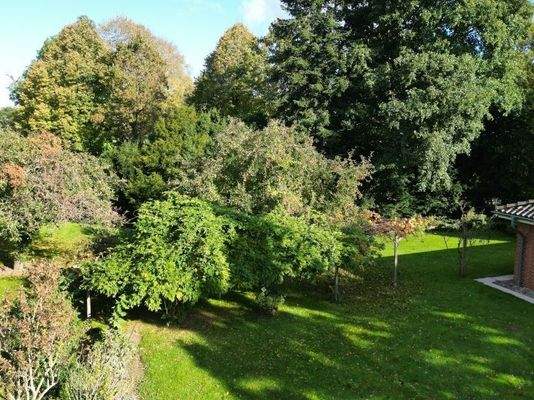 Garten mit altem Baumbestand (potenzieller Bauplatz)