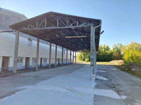Quedlinburg Halle, Quedlinburg Hallenfläche