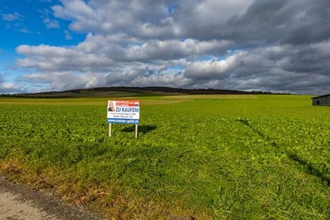 Kleinwilfersdorf Grundstücke, Kleinwilfersdorf Grundstück kaufen