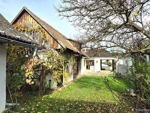 Piringsdorf Häuser, Piringsdorf Haus kaufen
