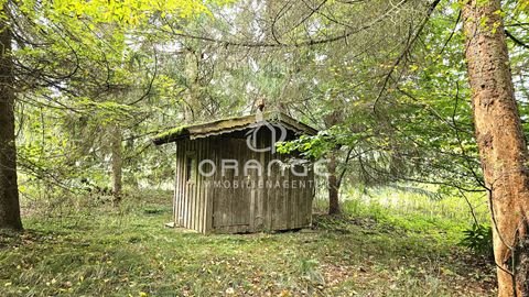 Hofkirchen / Grubhof Bauernhöfe, Landwirtschaft, Hofkirchen / Grubhof Forstwirtschaft