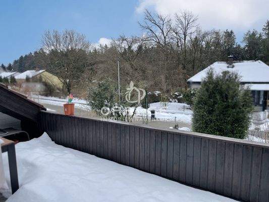 Blick vom Freisitz auf die "südliche Nachbarschaft"