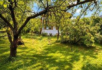 Garten mit Blick auf das Haus