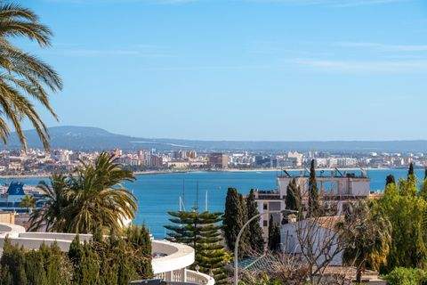 Palma De Mallorca Wohnungen, Palma De Mallorca Wohnung kaufen