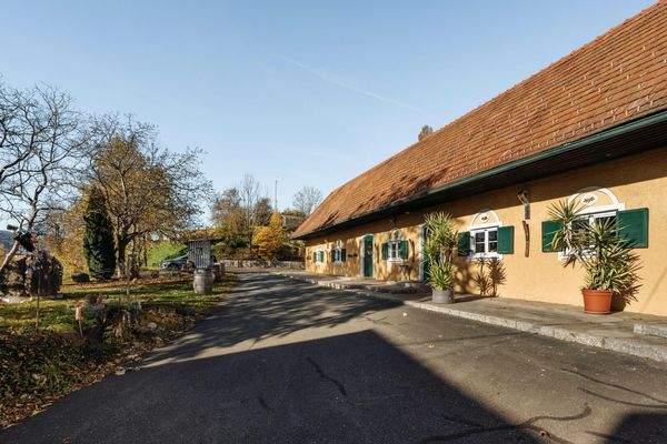 Neussl Eorykogel Liegenschaft 10 2025-41